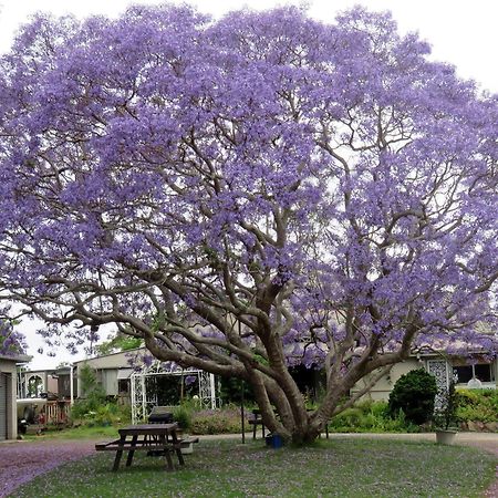 Ecotel Narooma South Coast ภายนอก รูปภาพ