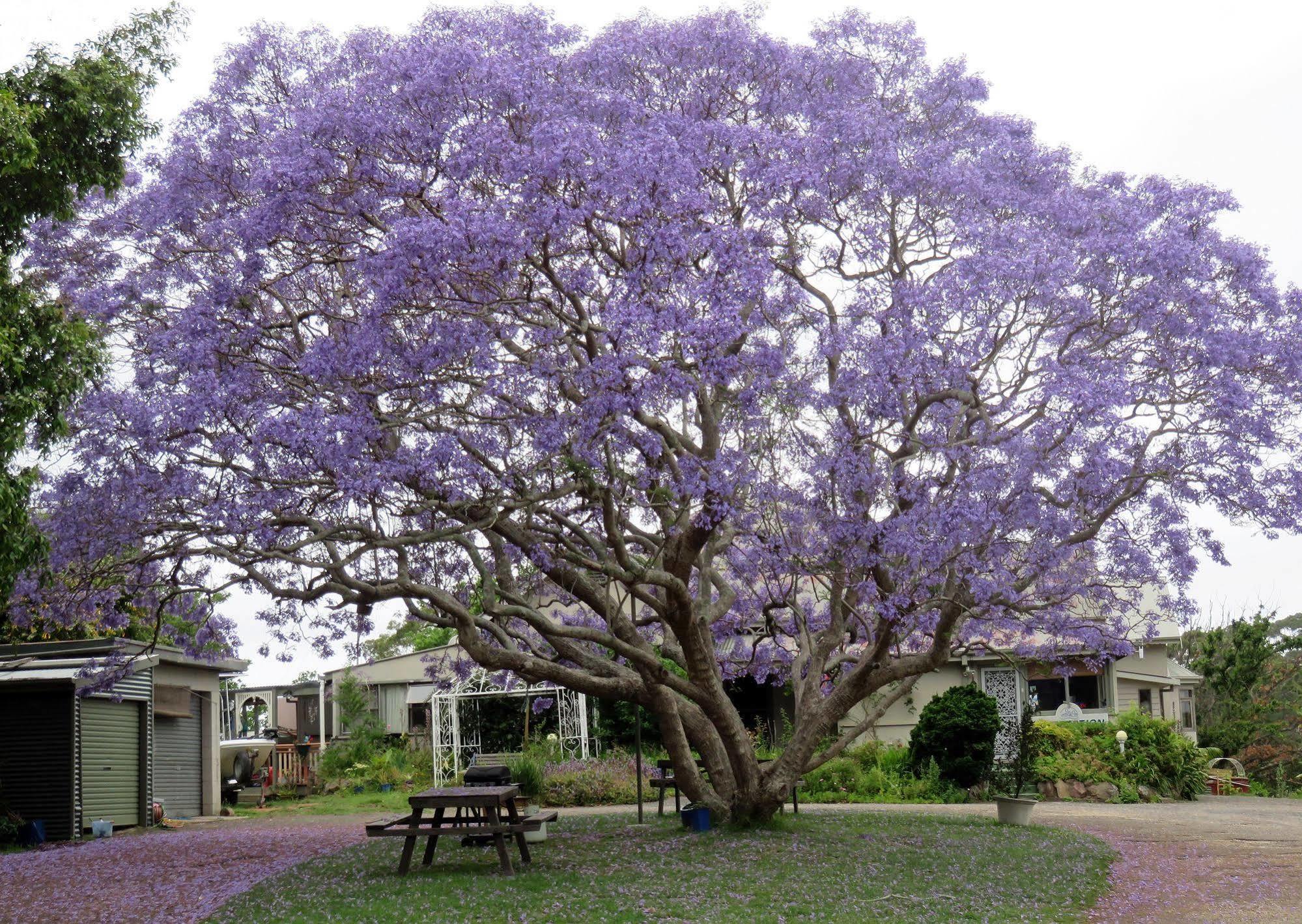 Ecotel Narooma South Coast ภายนอก รูปภาพ