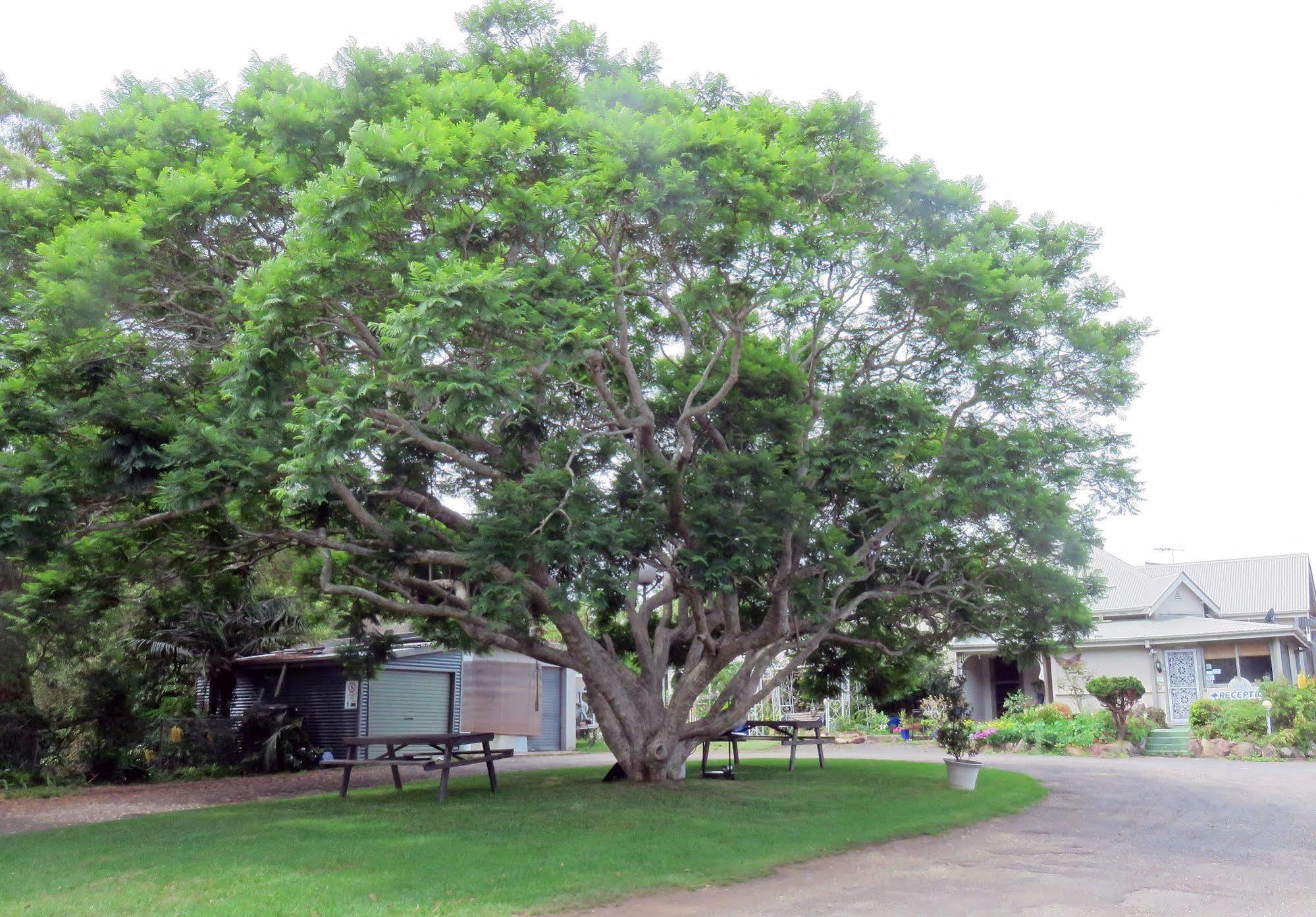 Ecotel Narooma South Coast ภายนอก รูปภาพ